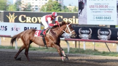 Apuestas en juegos de azar cayeron $32 millones en primer trimestre
