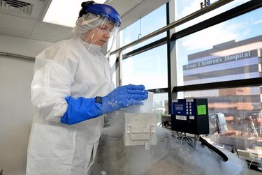 Linfocitos personalizados contra infecciones