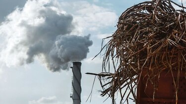 Etanol quita espacio a producción de azúcar