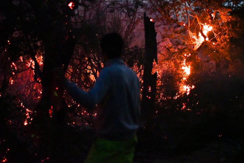 La Patagonia argentina enfrenta graves incendios y registra ya 45,000 hectáreas quemadas