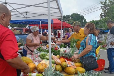 Este sábado 6 de septiembre hay Agroferia en Herrera