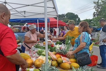 Este sábado 6 de septiembre hay Agroferia en Herrera