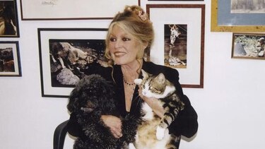 Brigitte Bardot publicará un 'libro testamento'