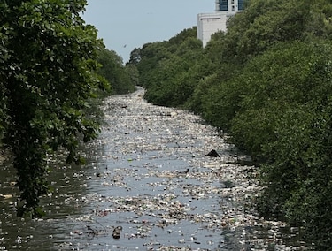 Fuertes lluvias obligan a abrir la barrera para retener desechos en el río Juan Díaz