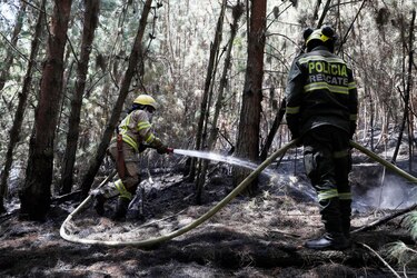 Petro advierte que los incendios forestales pueden llegar a la Amazonía en febrero
