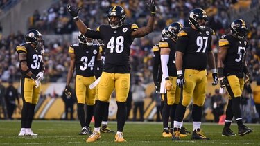 Los Steelers despiden a su entrenador de ‘linebackers’