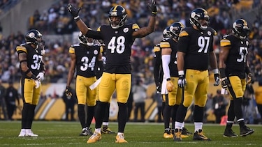 Los Steelers despiden a su entrenador de ‘linebackers’