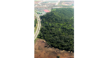 Nueva devastación en el Canal