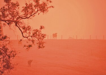 Australia llama a 3 mil reservistas militares contra  los incendios  