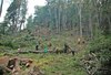 Ciudades latinoamericanas responden al cambio climático
