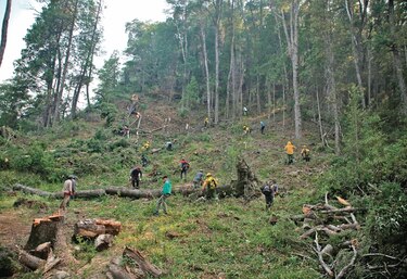 Ciudades latinoamericanas responden al cambio climático