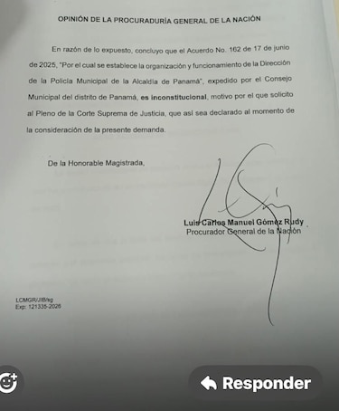 La Policía Municipal de Mizrachi es inconstitucional, opinó el procurador Gómez Rudy