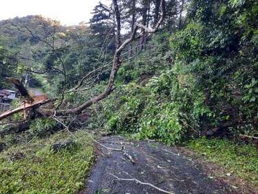 Clases presenciales vuelven en Chiriquí con excepciones