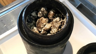 Descubren un queso de 340 años entre los restos de un naufragio