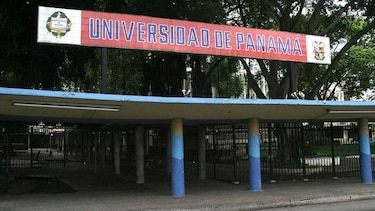 Universitarios realizan vigilia en defensa de los gatos que viven en campus de la UP