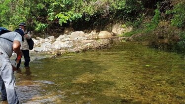 MICI toma muestras de agua del río El Viejo en Herrera