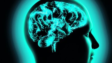 Contaminación afecta el cerebro