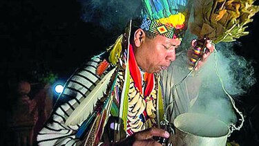 La ayahuasca, bebida psicodélica