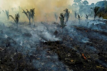 La deforestación en la Amazonía aumenta y reduce las lluvias