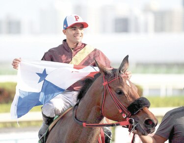 Luis Sáez montará a ‘March Point’ en el  Clásico del Caribe