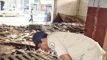 Piden eliminar criaderos del ‘Aedes aegypti’