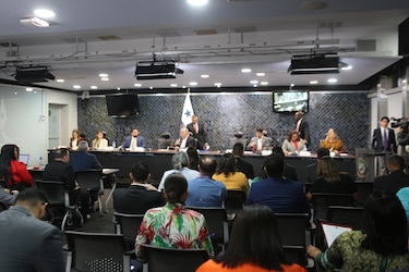 Defensoría del Pueblo: garantía de derechos y necesidad de profesionalización