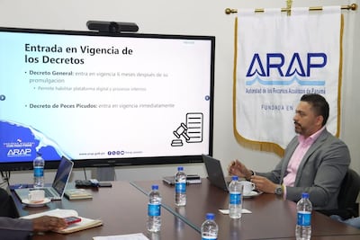 Proponen regulación integral para la pesca deportiva y de peces picudos en Panamá