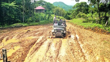 Obra amenaza área ecológica