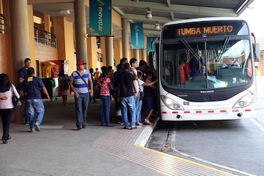 Cinco empresas compiten por licitación de 70 buses medianos de MiBus
