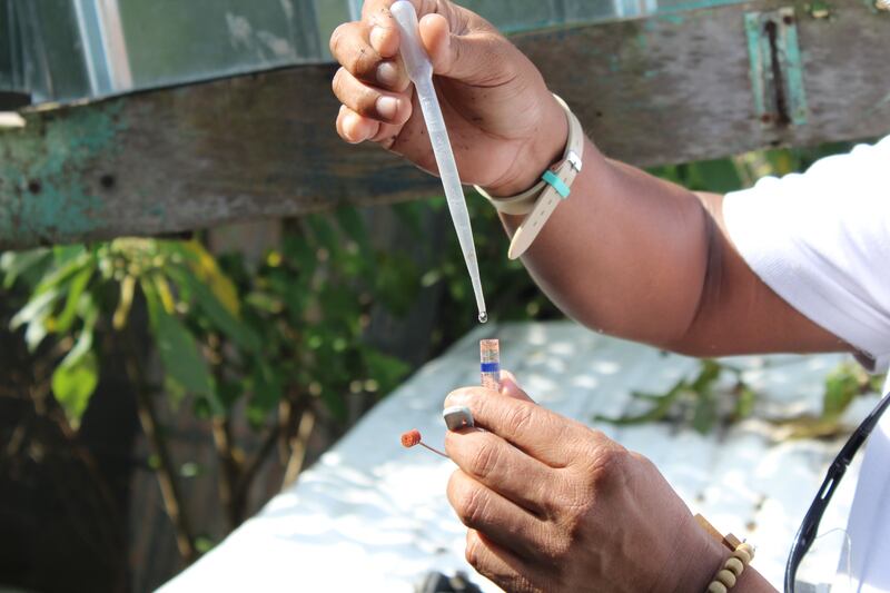 Dengue en Panamá: los casos suben a 13,844 y se registran 23 muertes en el año 2025