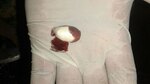 Decomisan 7 mil cápsulas con cocaína envueltas en cáscaras de frijoles