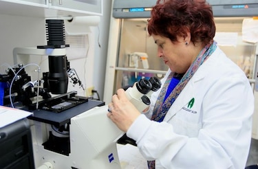 La ciencia y la tecnología necesitan más presupuesto