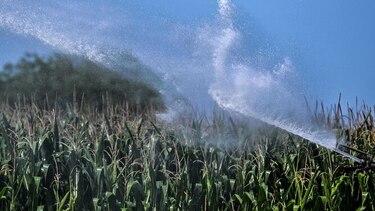 Europa se prepara para una nueva ola de calor