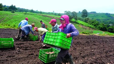 Destinan $557 millones para el agro