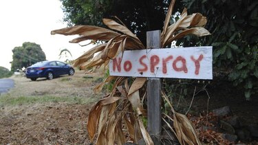 Zika plantea serios desafíos a Hawai