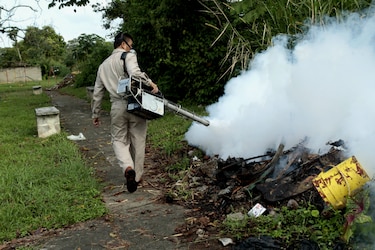 Costa Rica cerrará el 2013 con récord de unos 50 mil casos de dengue