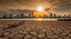 El año que vivimos bajo el súper Niño
