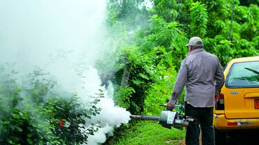 $8 millones usados para enfrentar el virus zika