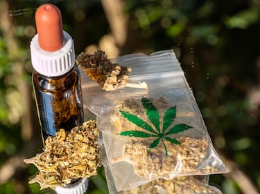 ¿Por qué el cannabis medicinal aún no llega a los pacientes en Panamá?