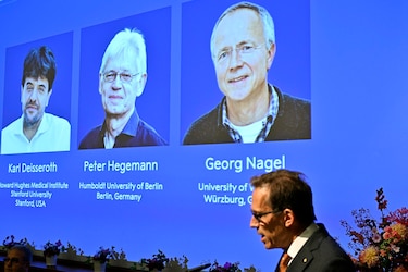 El Nobel de Medicina premia a los fundadores de una nueva era en la neurociencia