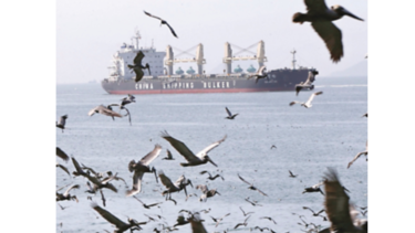 Animal Planet transmitirá documental sobre Panamá