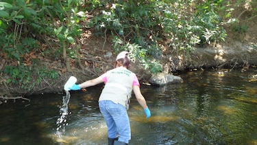 Autoridades descartan contaminación en el río La Villa