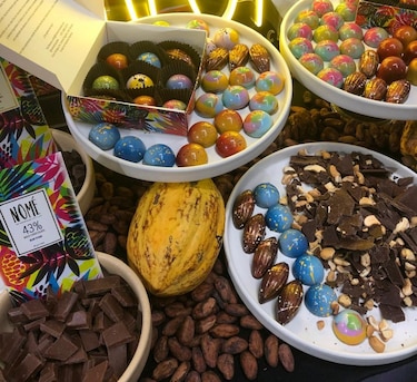 Promueven la producción de chocolate panameño