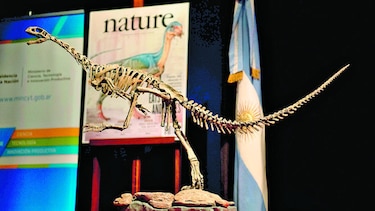‘Chilesaurus’ revela sus secretos