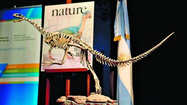 ‘Chilesaurus’ revela sus secretos