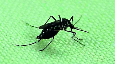 Mil 661 casos de dengue en siete meses
