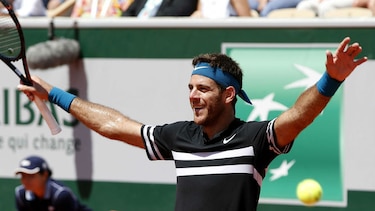Del Potro derrota a Cilic y disputará ante Nadal las 'semis' de Roland Garros