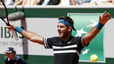Del Potro derrota a Cilic y disputará ante Nadal las 'semis' de Roland Garros