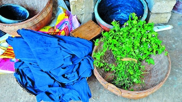 ‘Jeans verdes’ por el ambiente