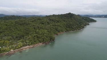 $884 millones buscará el Gobierno en subasta